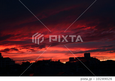 夕焼け茜 夕焼け茜 10289026