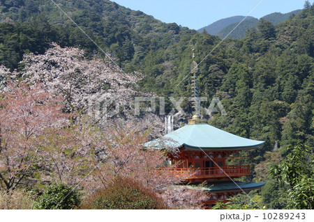 那智滝と三重塔 10289243