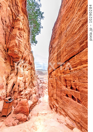 ペトラ遺跡の渓谷(ヨルダン、ワディ・ムーサ) 10290284