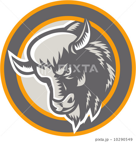 American Buffalo Bison Head Circle Retro 10290549