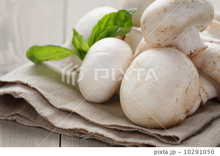 fresh white champignon on wood table fresh white champignon on wood table 10291050