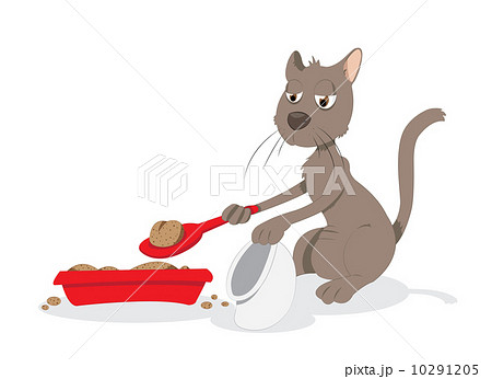 funny cat cleaning up his litter box 10291205