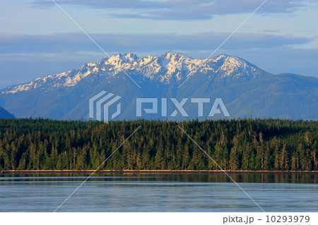 アラスカ 10293979