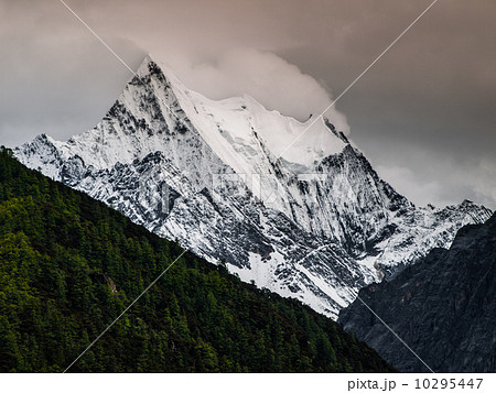 Yading Yading 10295447