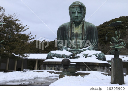 鎌倉大仏雪化粧 鎌倉大仏雪化粧 10295900