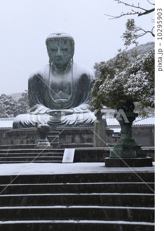 鎌倉大仏雪化粧 10295903