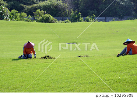 インドネシア　バリ島　女性 10295909