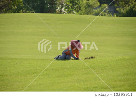 インドネシア　バリ島　女性 10295911