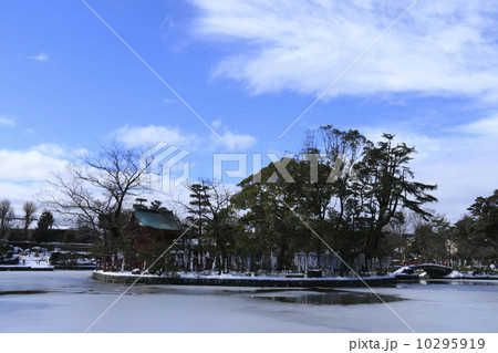 八幡宮の雪模様 10295919