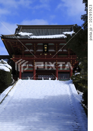 八幡宮の雪模様 10295923