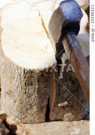 薪割り 10296321