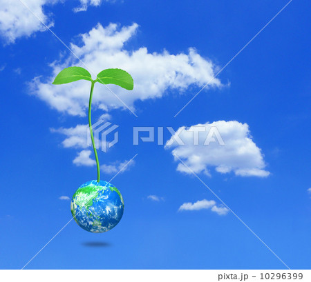地球から成長する若葉 地球から成長する若葉 10296399