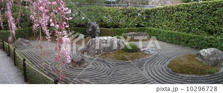 妙心寺 退蔵院 妙心寺 退蔵院 10296728