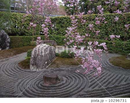 妙心寺　退蔵院 10296731