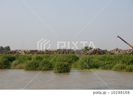 ミャンマー　ティワラ国際港 10298108