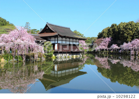 京都 平安神宮 春の神苑 京都 平安神宮 春の神苑 10298122