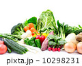 野菜 10298231
