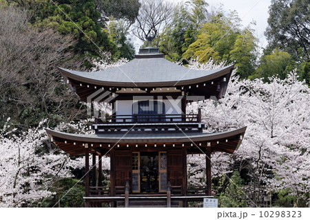 勧修寺 観音堂 勧修寺 観音堂 10298323