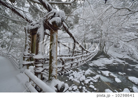 雪のかずら橋 10298641
