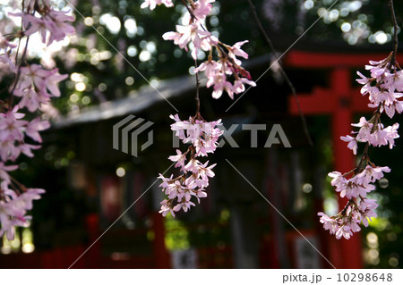 水火天満宮 水火天満宮 10298648