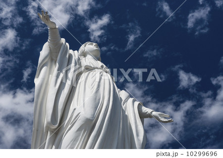 Statue of Virgin Mary, Immaculate Conception 10299696