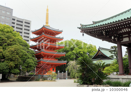 東長寺 東長寺 10300046