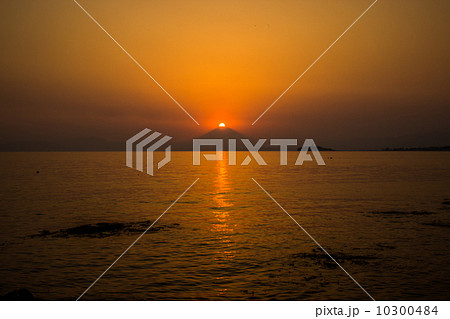 ダイヤモンドフジ ダイヤモンドフジ 10300484