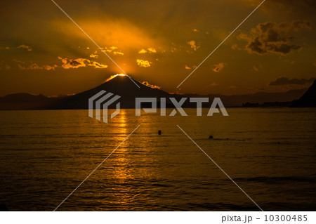 ダイヤモンドフジ ダイヤモンドフジ 10300485