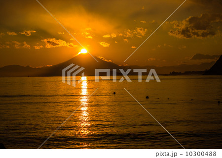 ダイヤモンドフジ ダイヤモンドフジ 10300488