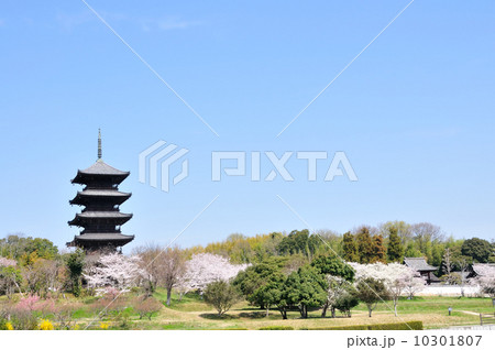 備中国分寺の春 10301807