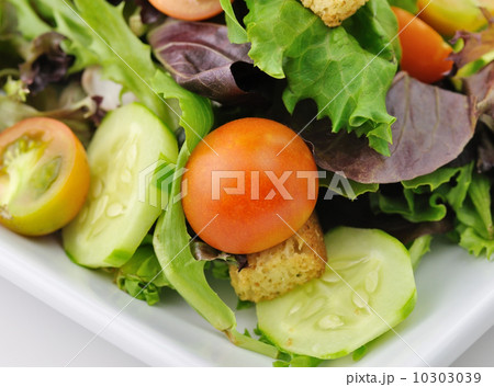 salad salad 10303039