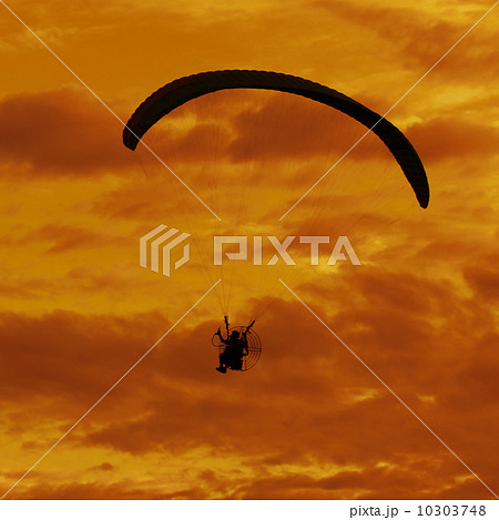 Silhouette of paragliding on beautiful sky background 10303748