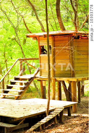 森の中のログハウス 10303778