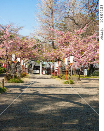 世良田東照宮境内 世良田東照宮境内 10304183