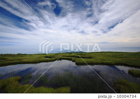 夏の月山弥陀ヶ原 10304734