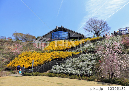釈迦堂PAから博物館へ 釈迦堂PAから博物館へ 10306182