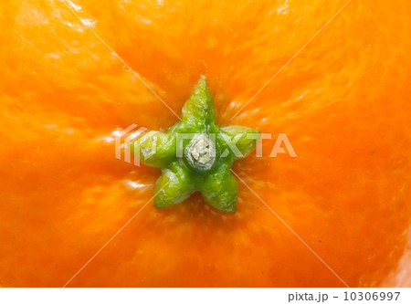 orange skin and green star orange skin and green star 10306997