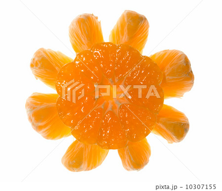 Sun made of citrus over white Sun made of citrus over white 10307155