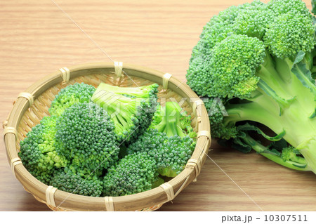 ブロッコリー ブロッコリー 10307511