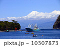 Mt.fuji 10307873