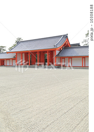 京都御所　南庭と承明門 10308188