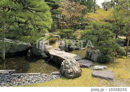 京都御所　御内庭 10308250