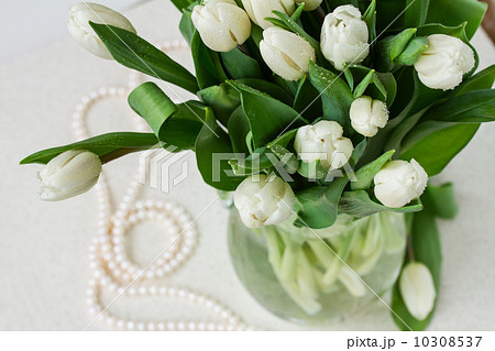 bouquet of fresh white tulips bouquet of fresh white tulips 10308537