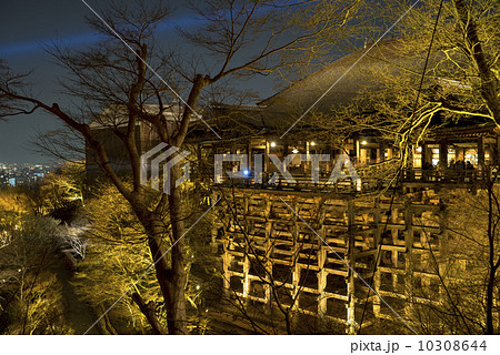 ライトアップされた清水寺 10308644