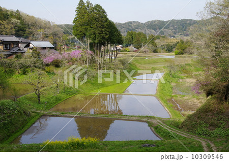 農村 農村 10309546