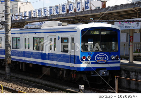 大雄山線 大雄山線 10309547
