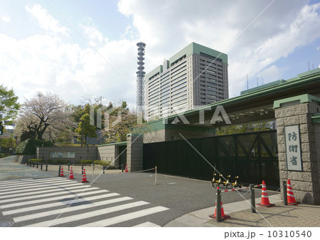 防衛省（満開の桜） 10310540