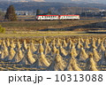 稲わらの並ぶ水田とローカル線 10313088