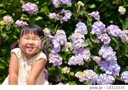 あじさいと女の子 10313335