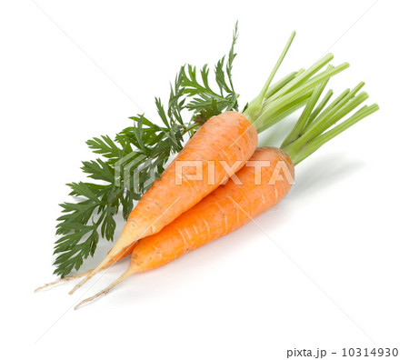 Fresh ripe carrots Fresh ripe carrots 10314930